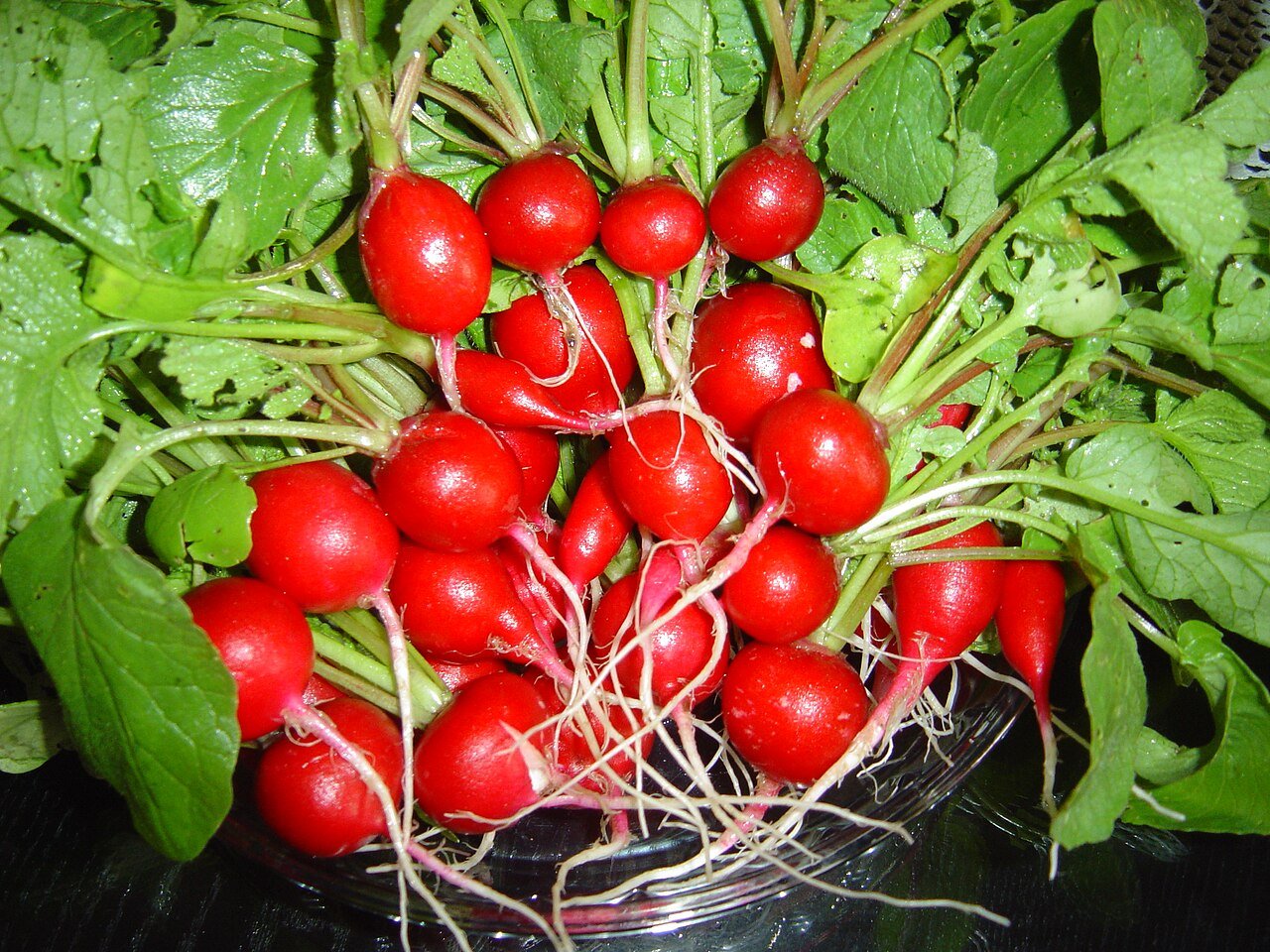 Radishes