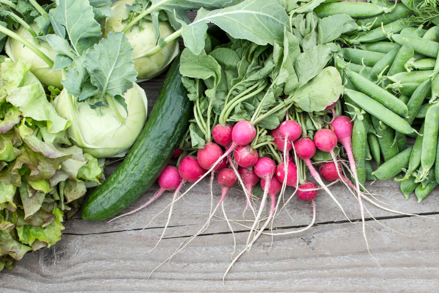 Best Vegetables to Grow in July | WM James  Co. | WM James  Co.