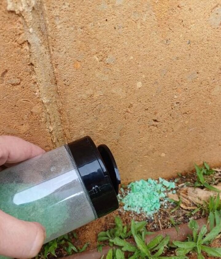 5 Clever Ways to Use Irish Spring Soap in Yard and Garden Spaces | Hometalk