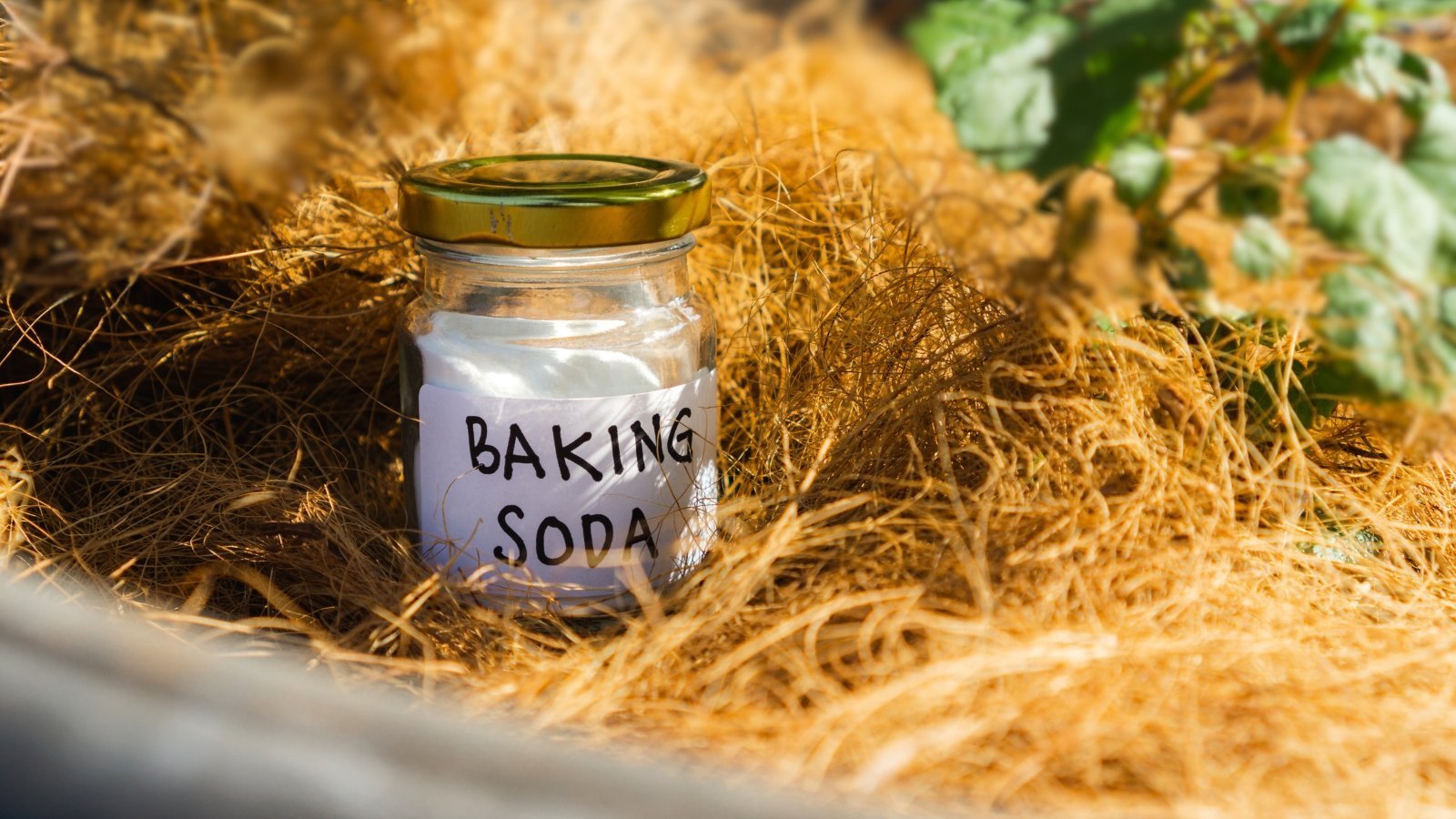 Is Baking Soda Good for Tomatoes?