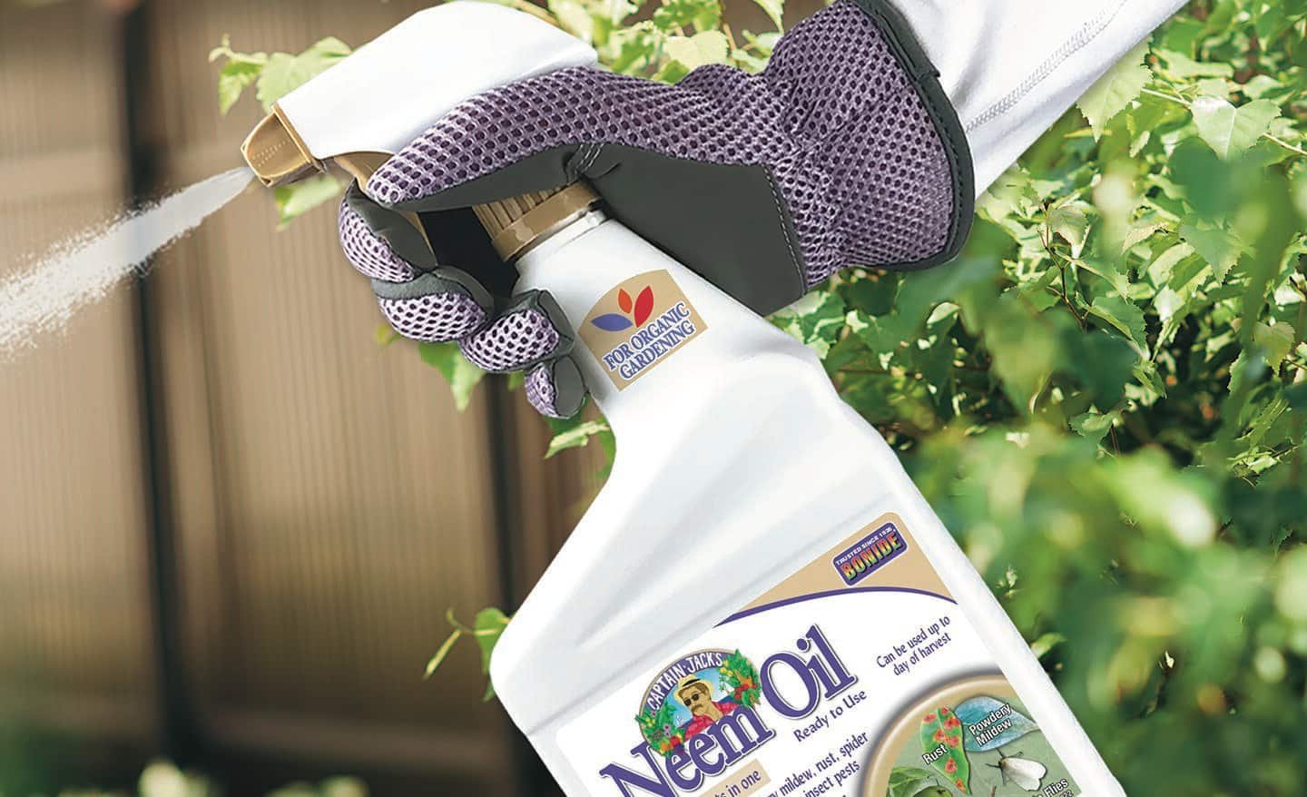 Natural Pest Control for Your Outdoor Spaces - The Home Depot