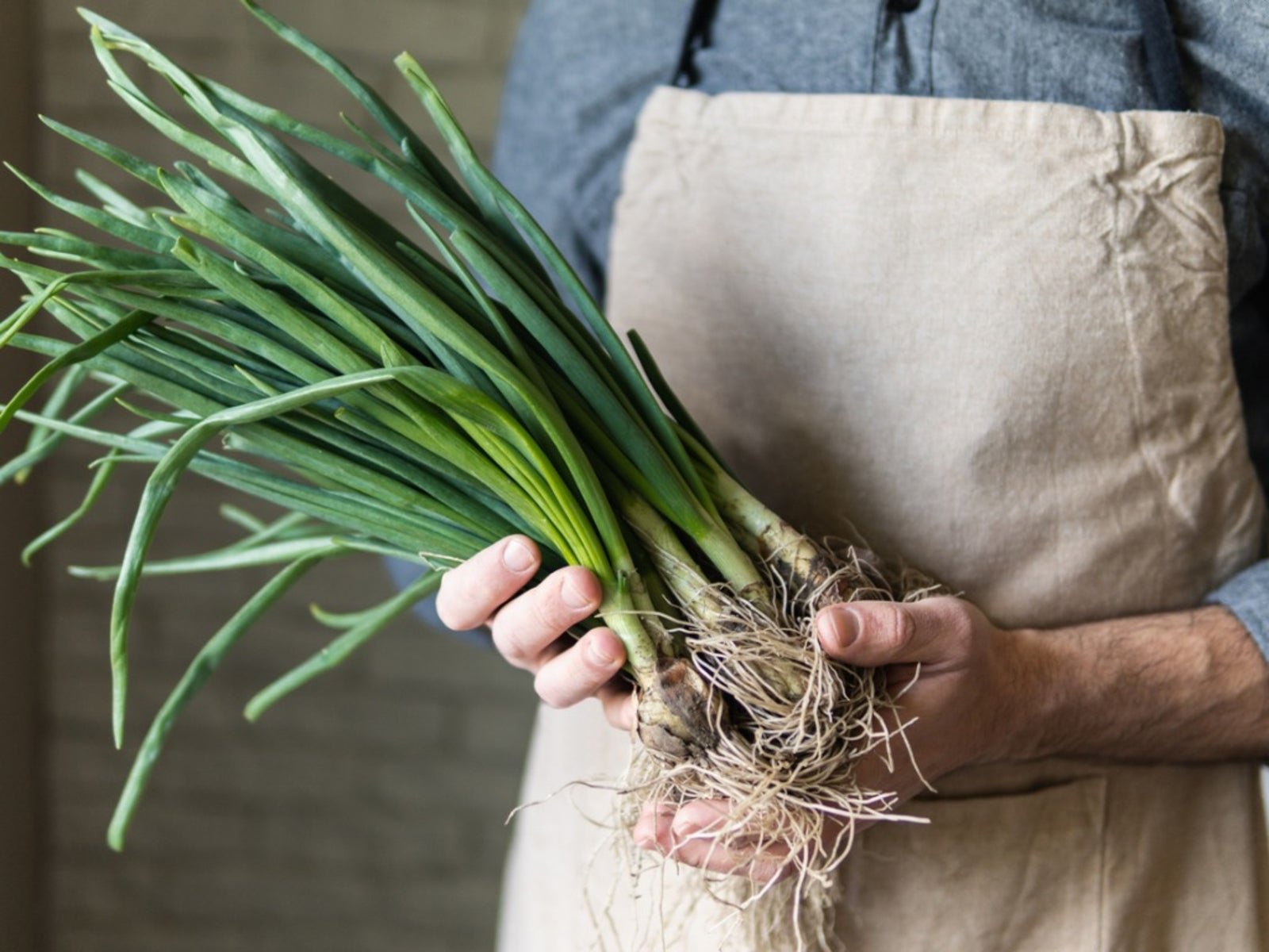 20 Vegetables You Can Re-Grow From Scraps