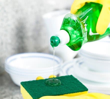 Cách diệt côn trùng bằng nước rửa chén hiệu quả, đơn giản | Cleanipedia VN