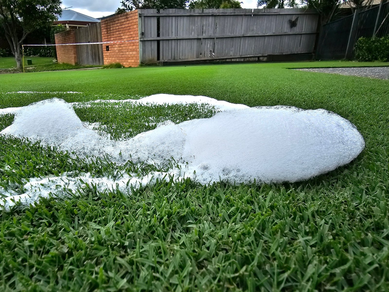 Lawn Grub / Soapy Water Test – Lawnpride Australia