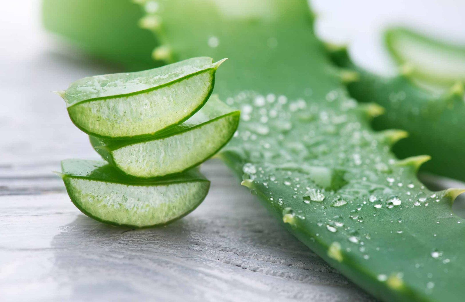WHAT IS ALOE VERA? - Dr. Barbara Sturm