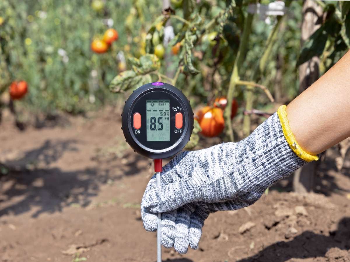 I had no clue about this!