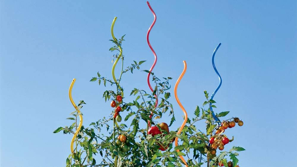 Tomato Spiral Stakes – Simple  Stable for Tomato, Cucumber Supporting