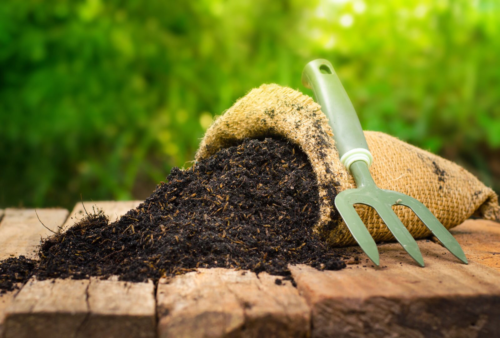 When  Why to Fertilize Your Lawn During Summers