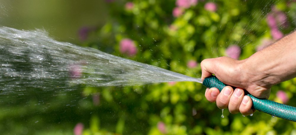 Mastering Garden Watering: Tips  Techniques | MOOWY