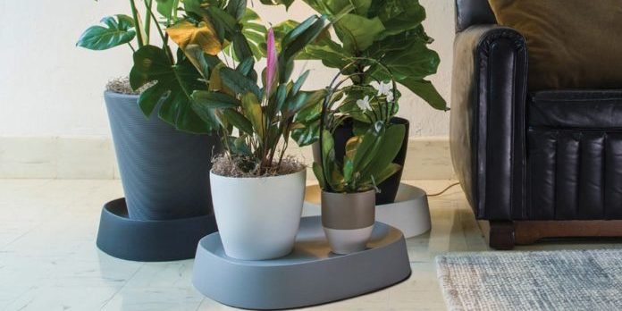 Selecting the Right Plant Saucer For Your Planter - Crescent Garden