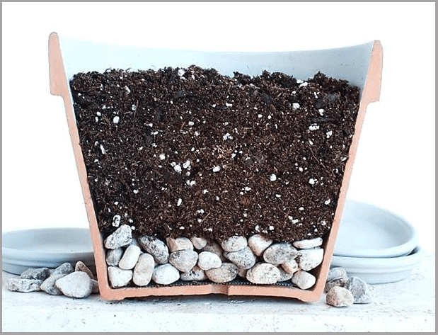 Why Adding Rocks in Pots to Improve Drainage is Dumb - Hort Zone