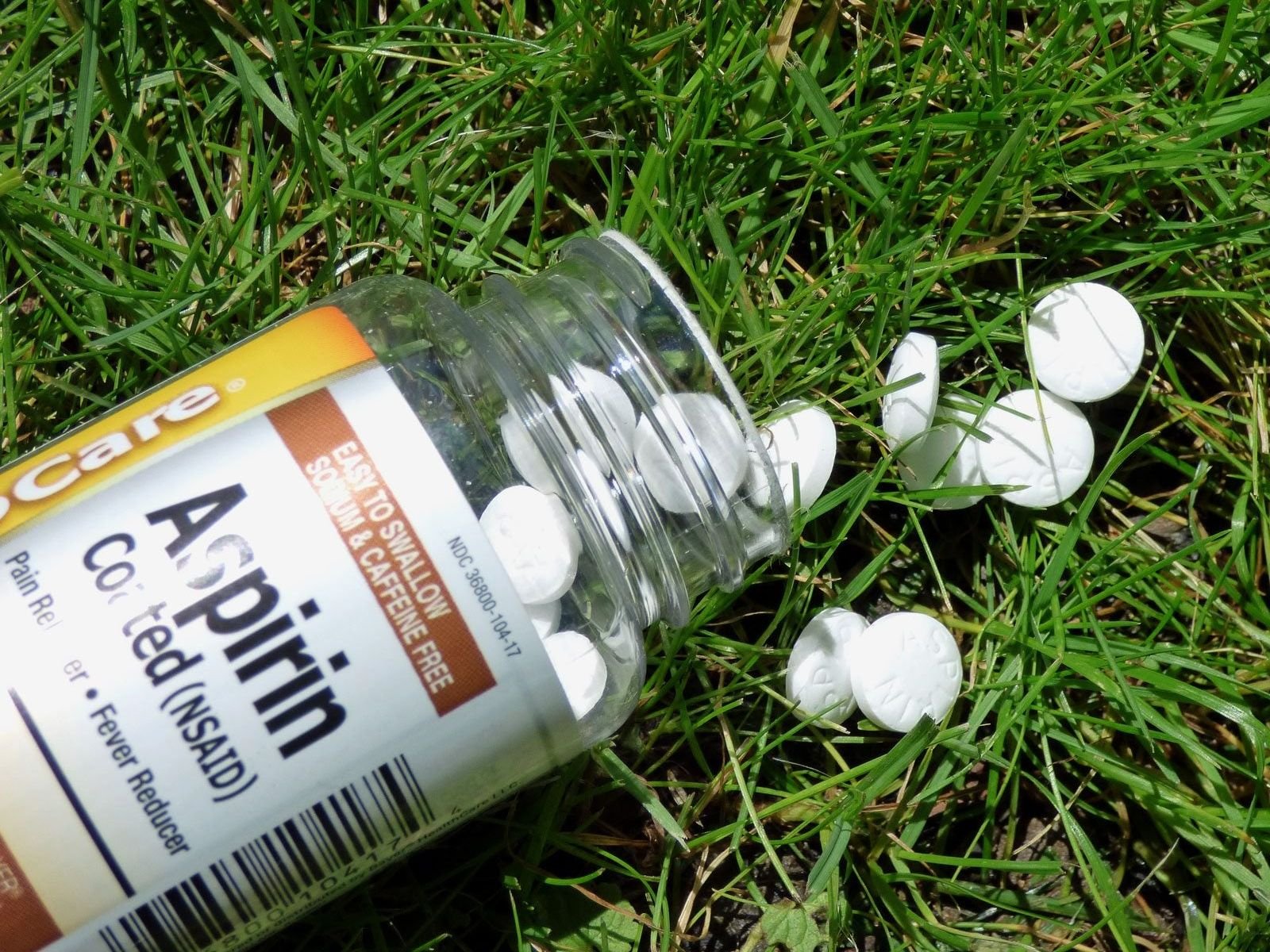 Use Of Aspirin On Plants: Aspirin In Vegetable Gardens And More | Gardening  Know How