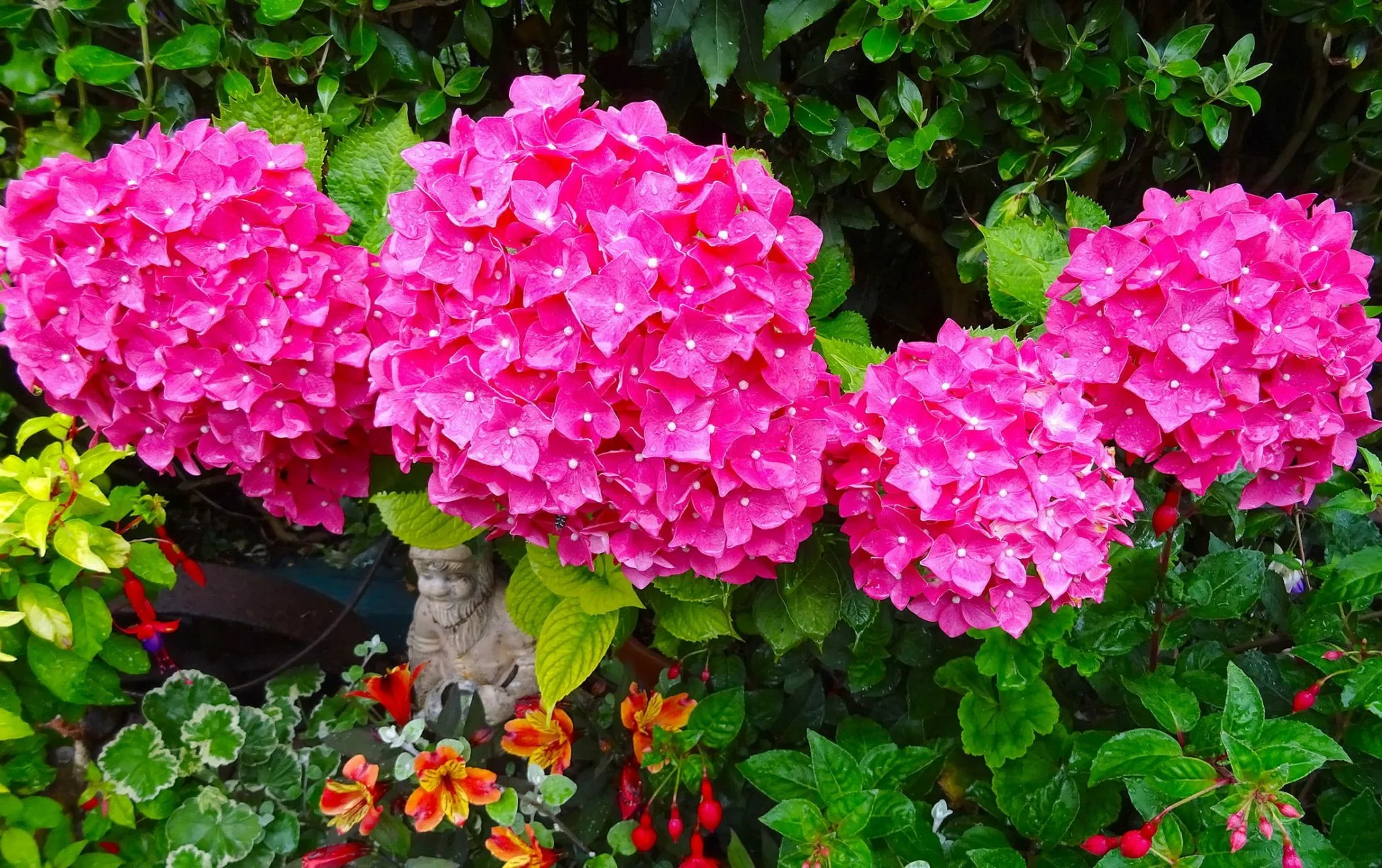 Shade-Loving Wonders: Plants That Thrive Under Trees