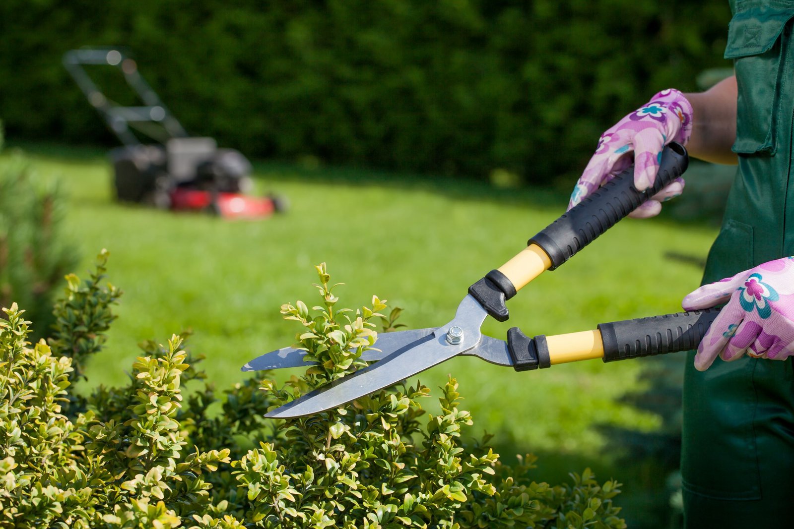 5 ways to keep garden tools in top condition 1