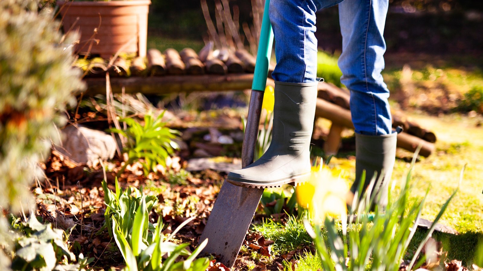 How to use biochar: planting advice and recommendations | Homes and Gardens