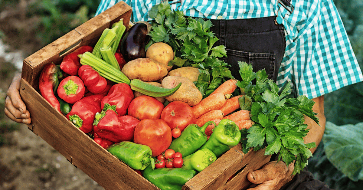 6 Crops Ready To Harvest in August – TeraGanix