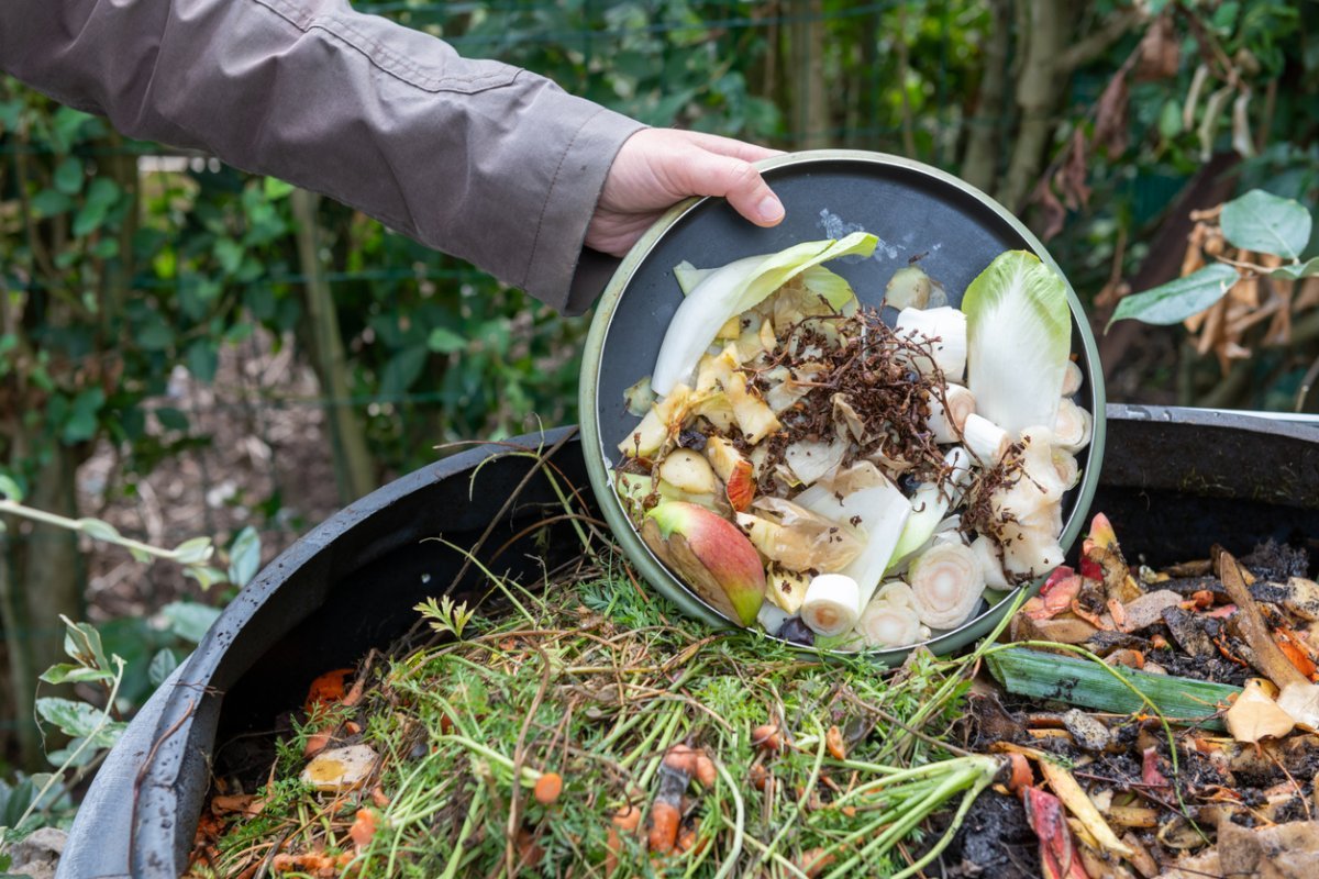How to Keep an Odor Free Compost Bin in Your Home - Food Gardening Network