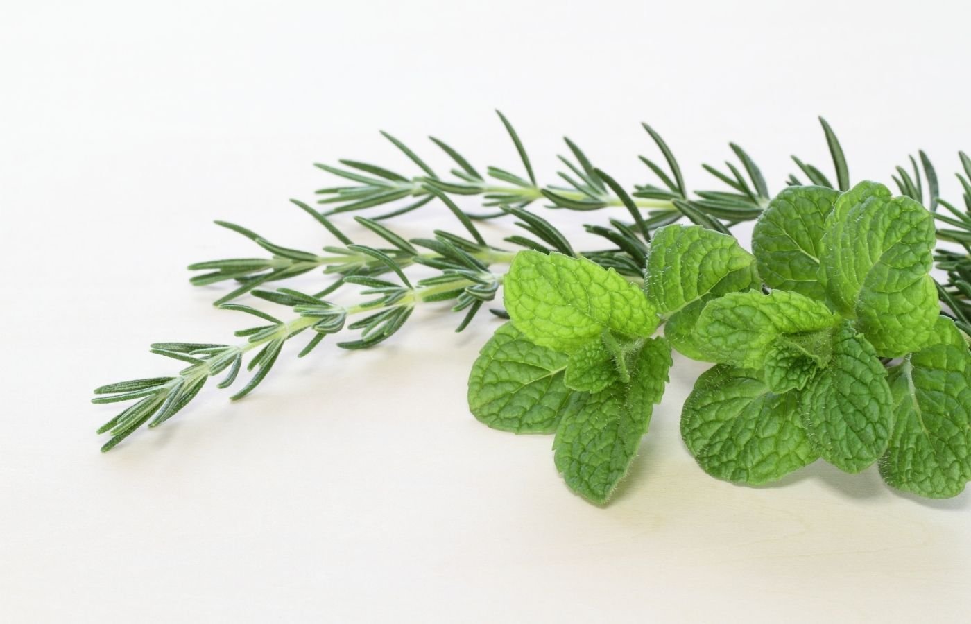 6 DIY Self Care Recipes with Rosemary and Mint – Humble Brands