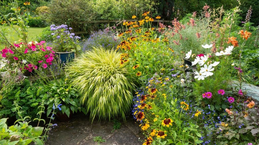 Reasons For And Against Planting Annuals | Gardening Know How