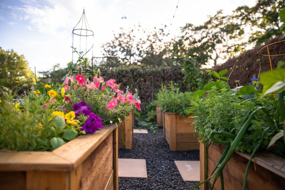 12 top plants that bloom all summer long