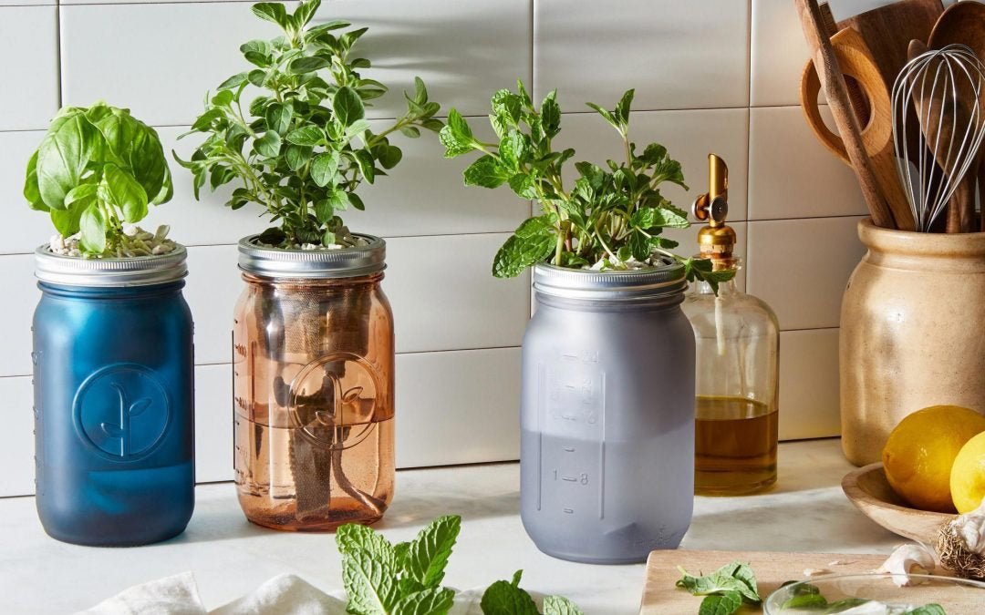 How To Make Your Own Self Watering Herb Garden – Urban Leaf