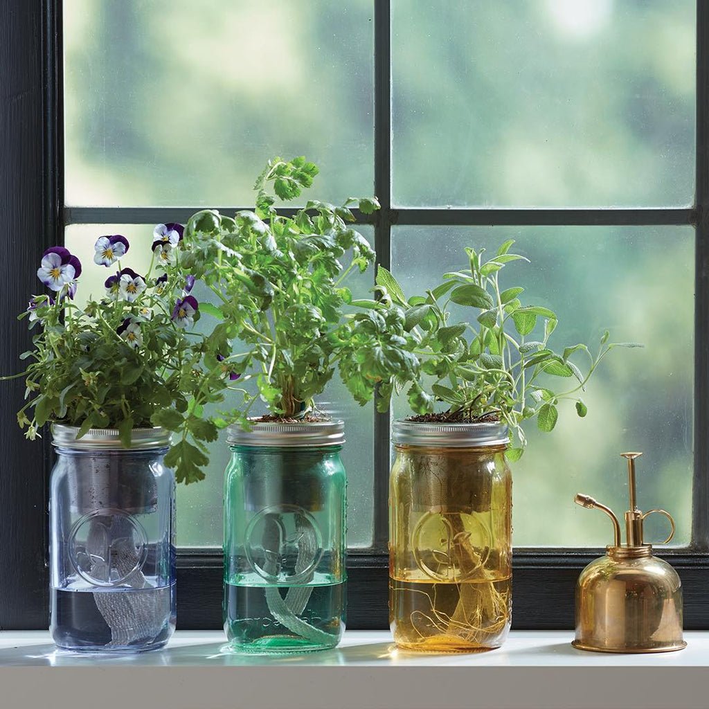 Garden Jar - Oregano | Herb Growing Kit | Anara Lifestyle