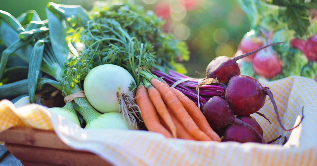 What Vegetables Can Grow in 4 to 6 Hours of Sunlight Per Day?