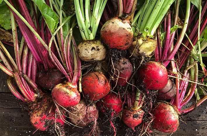 16 Vegetables That Love the Shade
