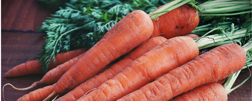 16 Vegetables That Love the Shade