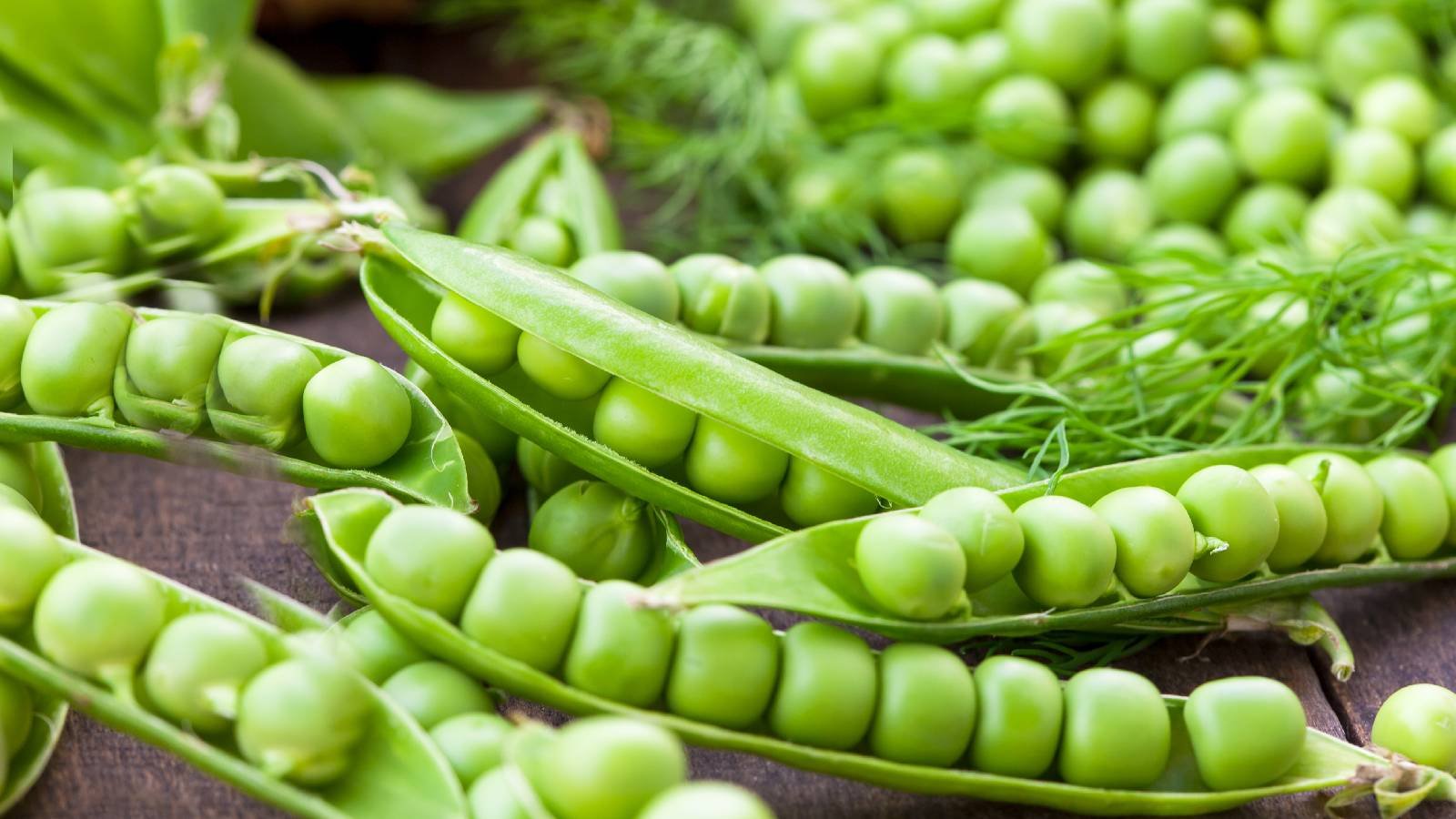 3 side effects of eating green peas everyday | HealthShots