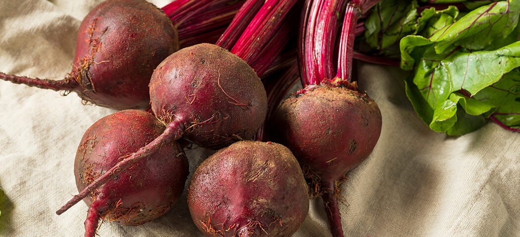 20 plants that flourish in cheap 5-gallon buckets