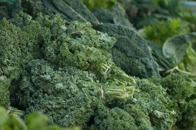 20 plants that flourish in cheap 5-gallon buckets