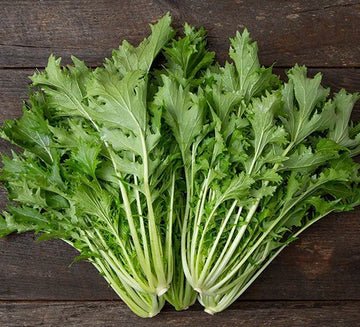 Mizuna Asian Greens Seeds – Grow It All