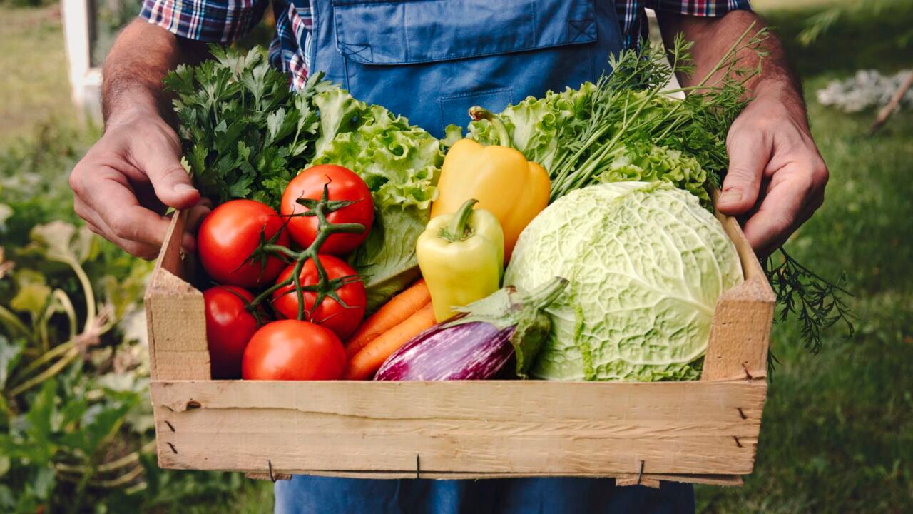 9 Easy Summer Vegetables to Grow in Your Garden