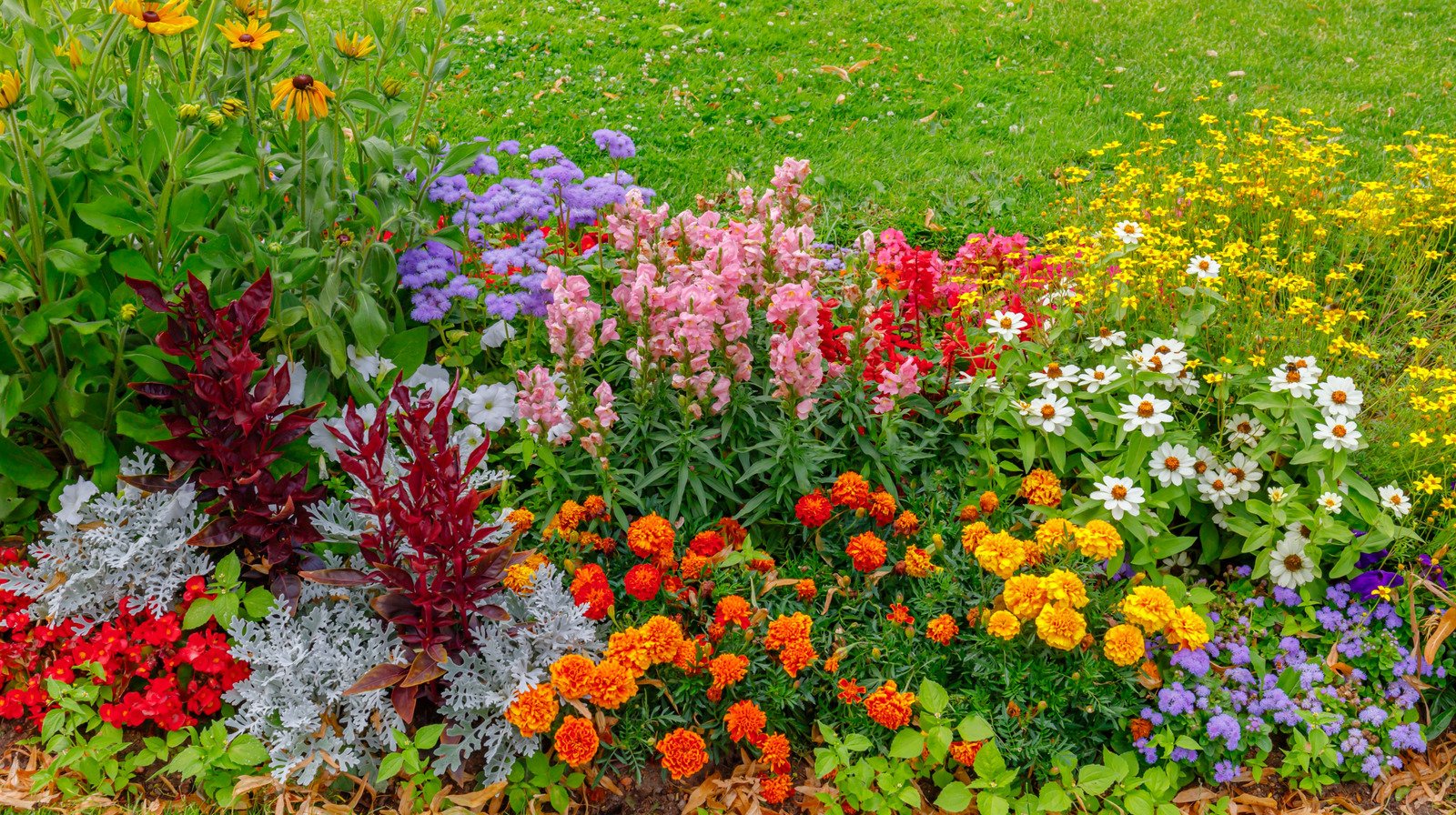 17 Perennials That Bloom More Than Once For A Colorful Garden Year-Round
