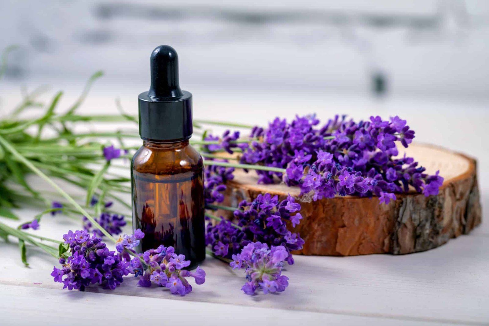 LAVENDER OIL 100 ml Orgobest