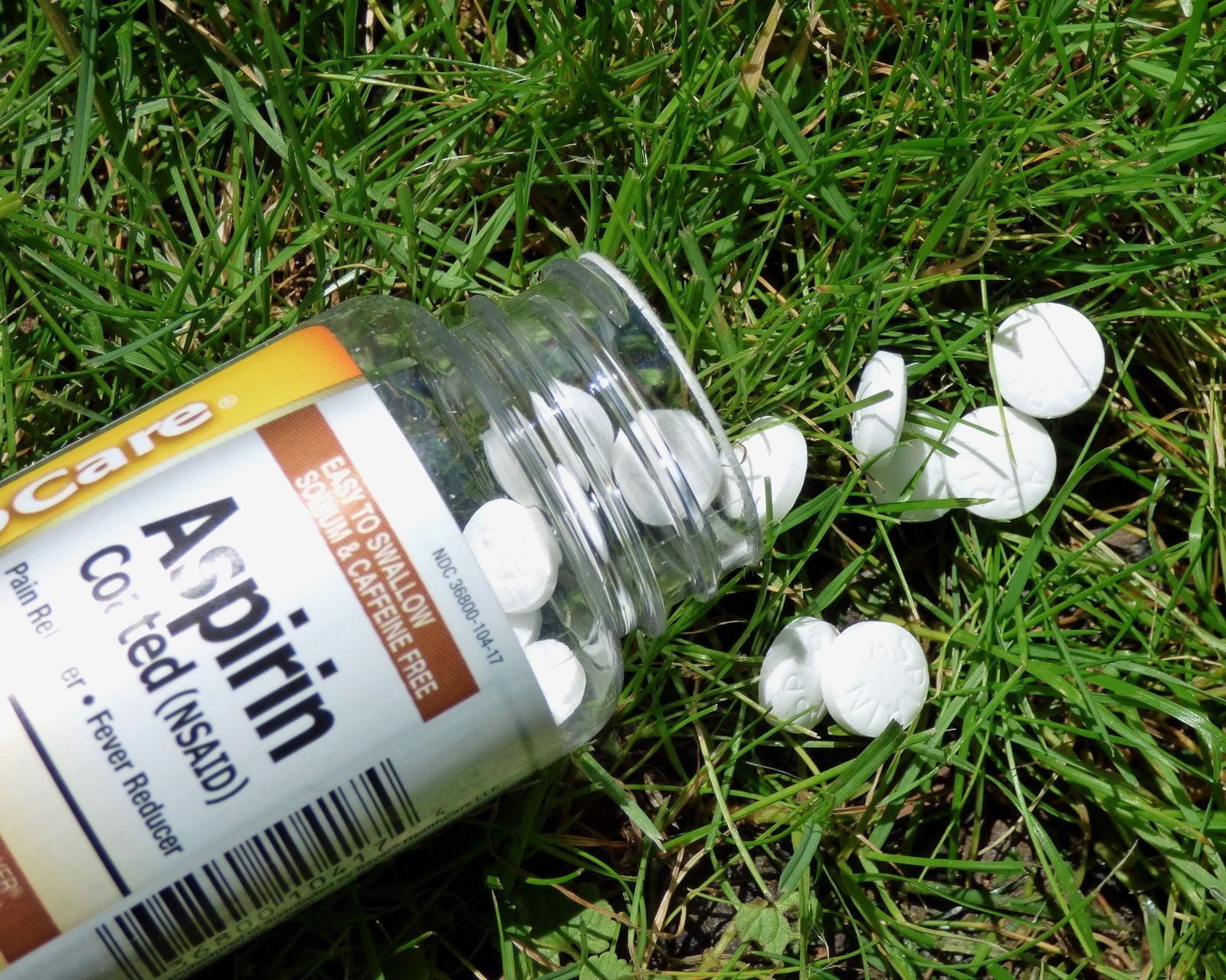 Use Of Aspirin On Plants: Aspirin In Vegetable Gardens And More | Gardening  Know How