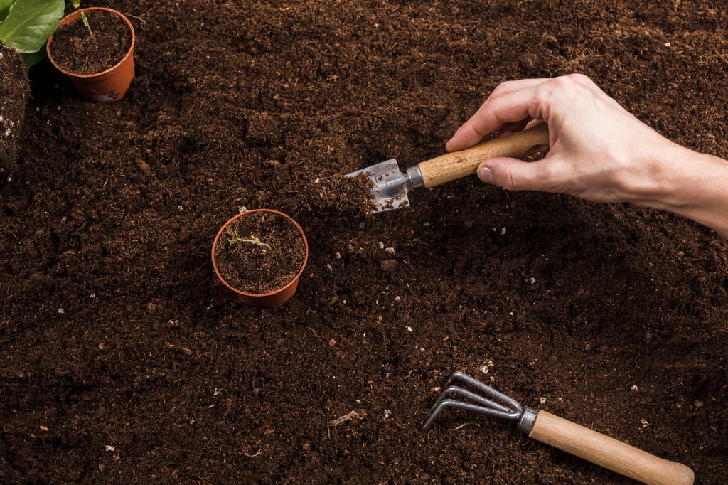 Why Is Soil Condition So Important? — GardenistaUK Store