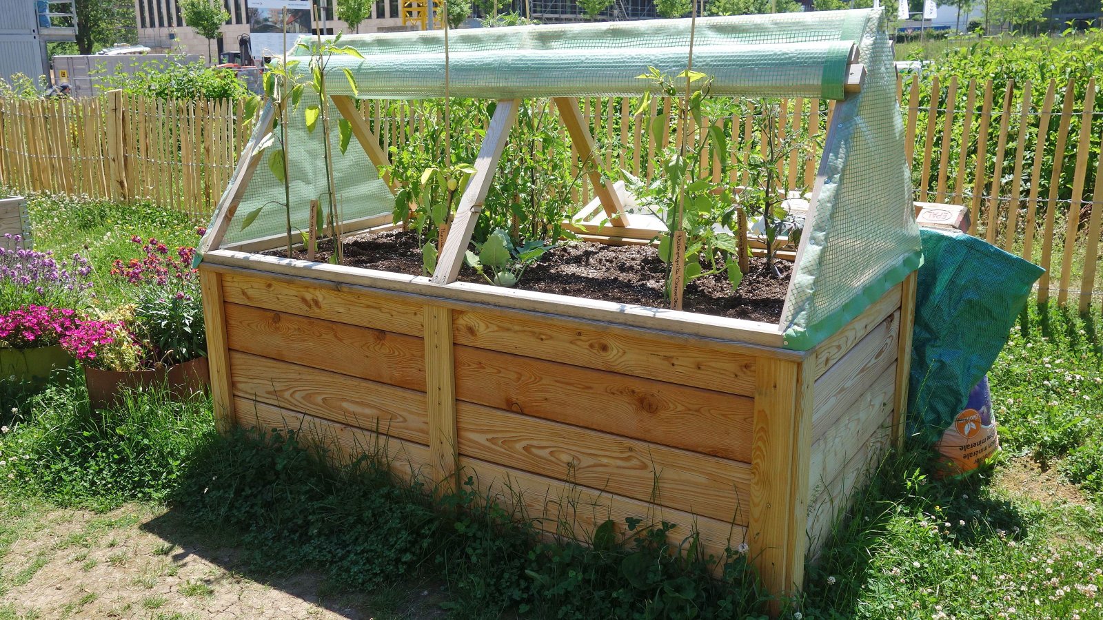 Easy Cold Frame Garden - How To Convert A Raised Bed To A Cold Frame |  Gardening Know How