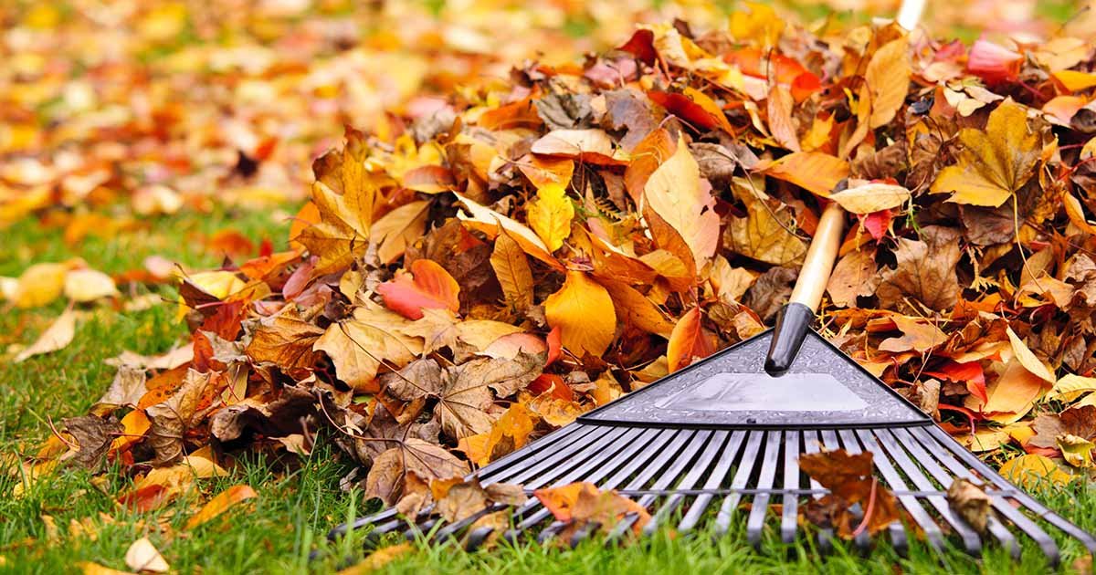 11 Garden Tasks to Prep for Winter | Gardener's Path
