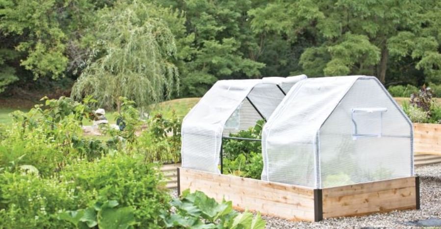 Season-Extending with Row Covers and Cold Frames | Gardener's Supply