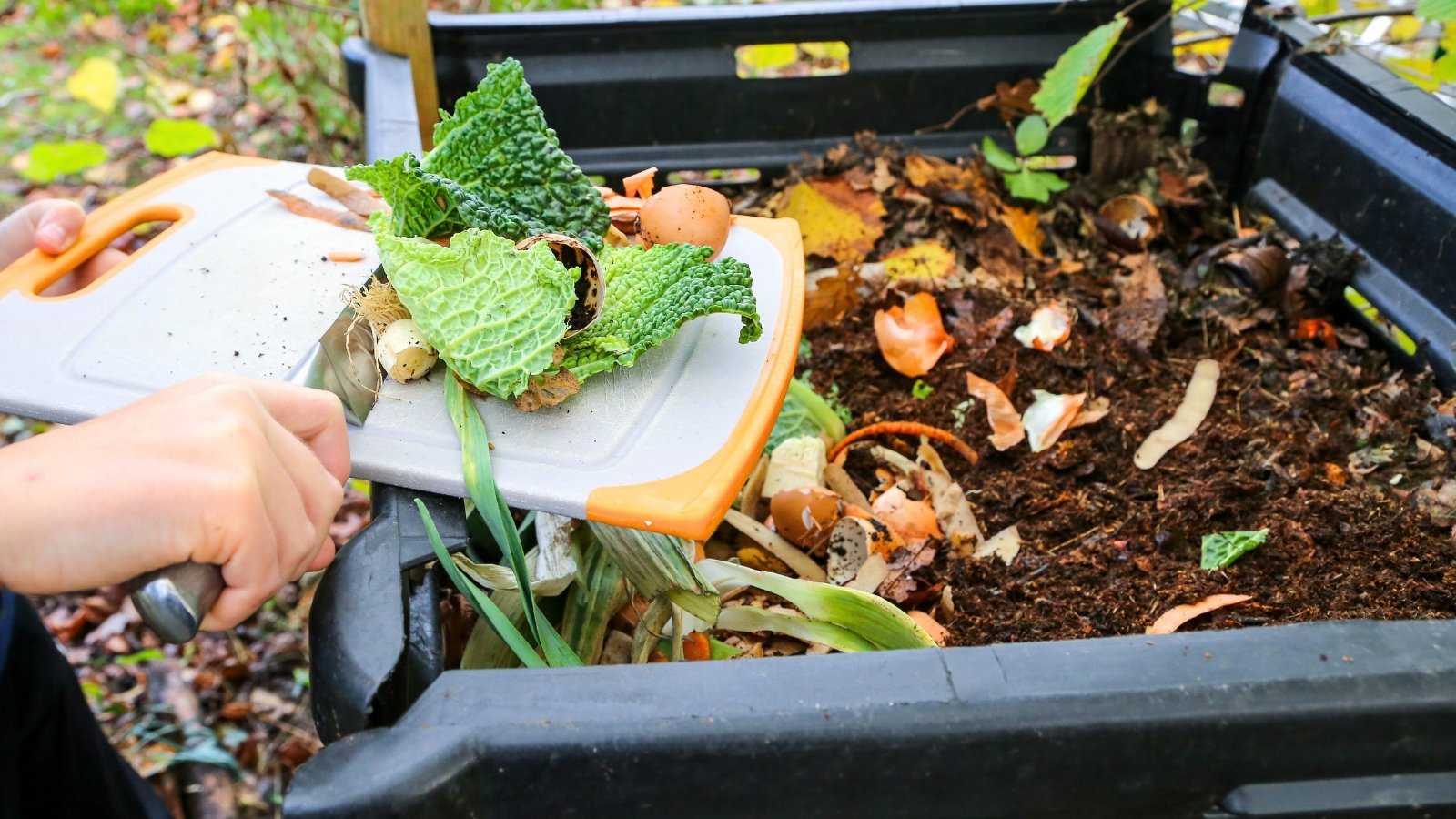 The Low-Hassle Compost Method for Lazy Gardeners