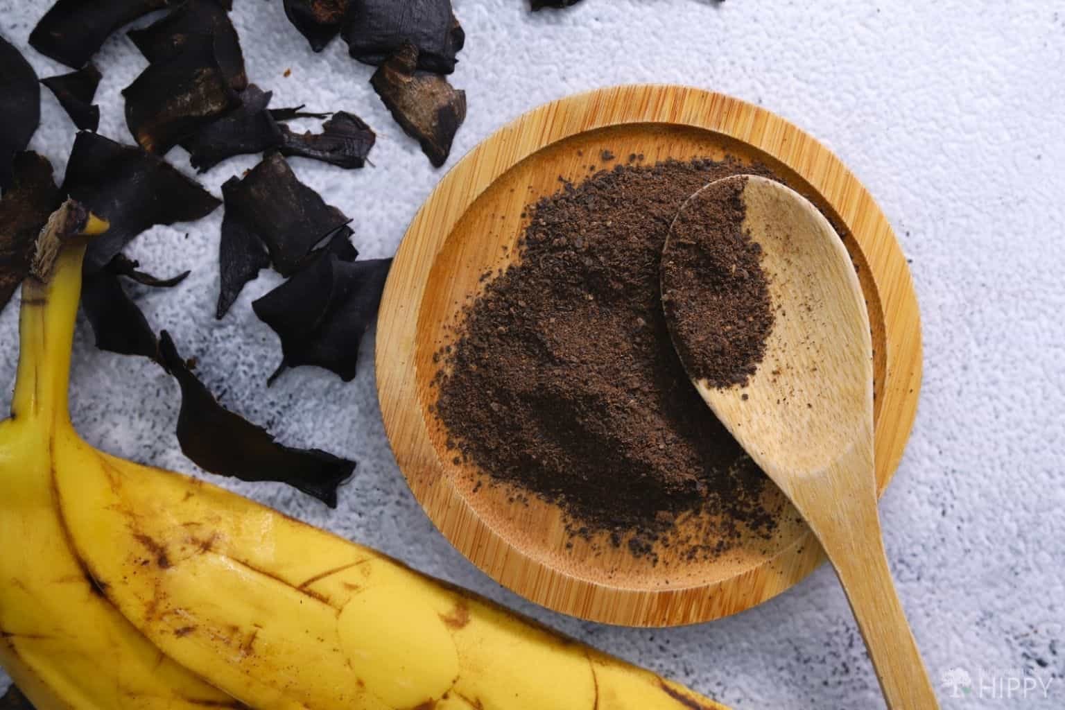 Homemade Fertilizer Made from... Ground Banana Peels!