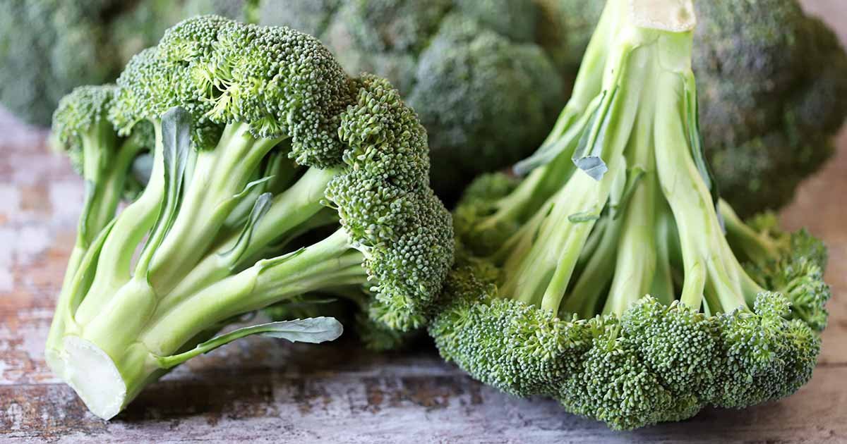 How to Grow Broccoli in Containers | Gardener's Path