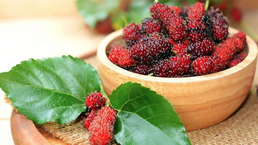 Mulberry leaves: Uses and benefits | Vinmec