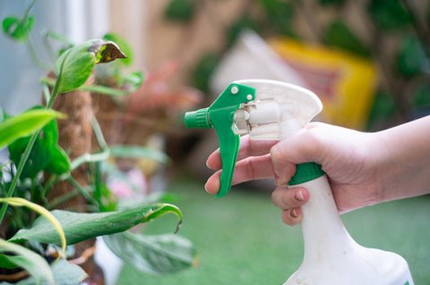 How to Make Organic Neem Oil Spray for the Garden? – AllThatGrows