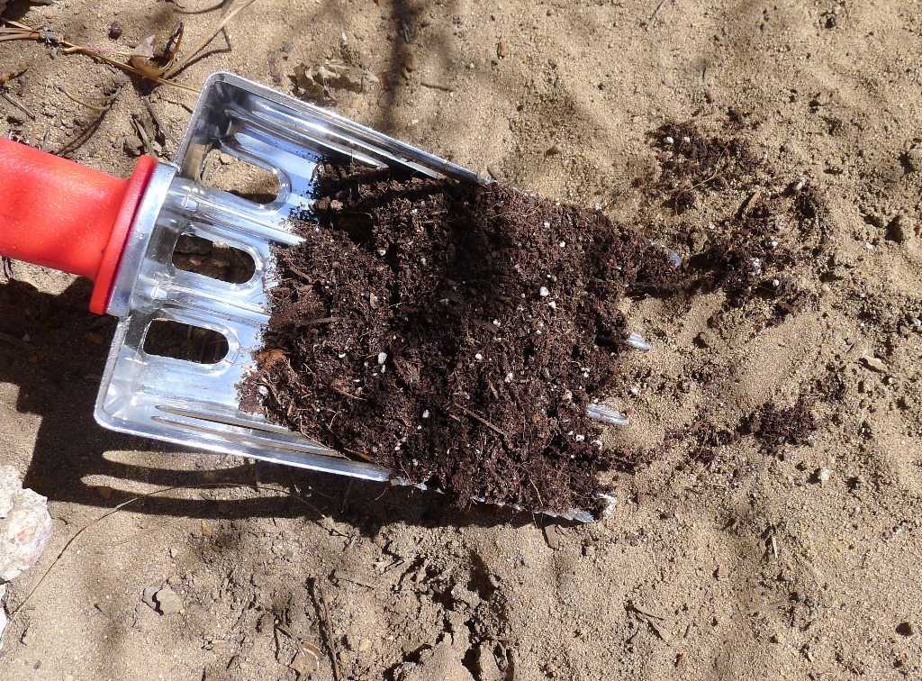 CSU Resources | Denver Gardeners