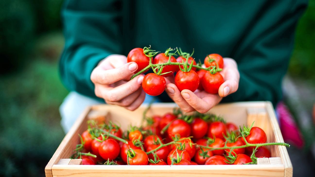 Tomatoes: Nutrition Facts and Health Benefits