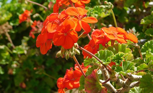 Great ideas! Wish I saw this sooner