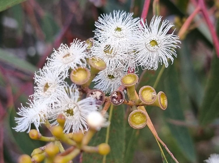 Great ideas! Wish I saw this sooner